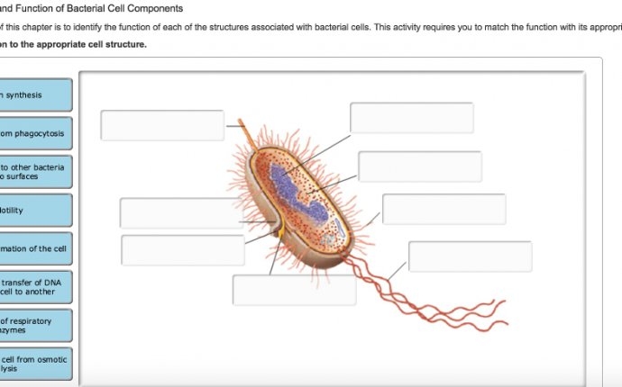 A Key Objective Of This Chapter Is To Identify The | Chegg.com