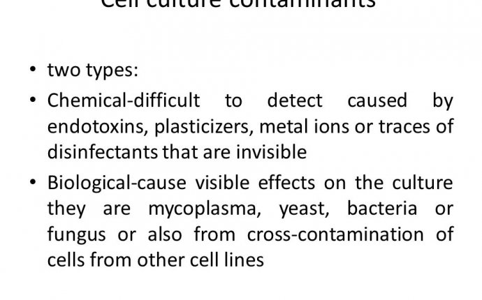 Animal cell culture Lecture 1 Introduction - ppt download