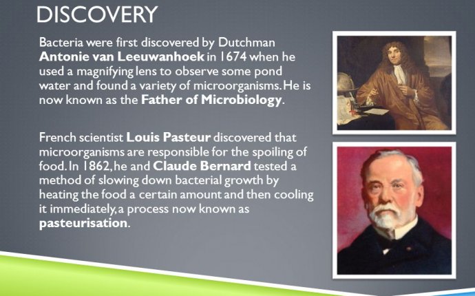 BACTERIA AND PROTISTS by Hafiz Wicaksono. BACTERIA: Are
