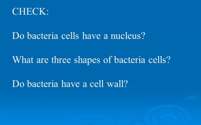 Bacteria Chapter 7.2. POINTDescribe bacterial cells POINT