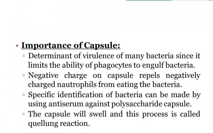 Bacterial Cell Structure - ppt download