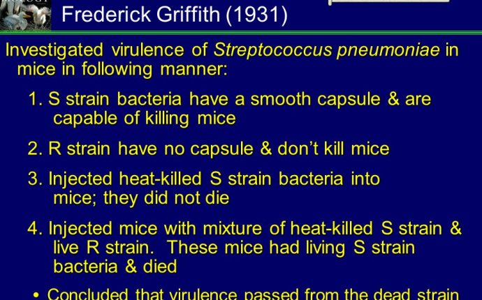 Biology, 9th ed,Sylvia Mader - ppt download