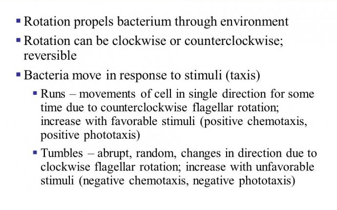 Cell structure and function Chapter 3 - ppt download