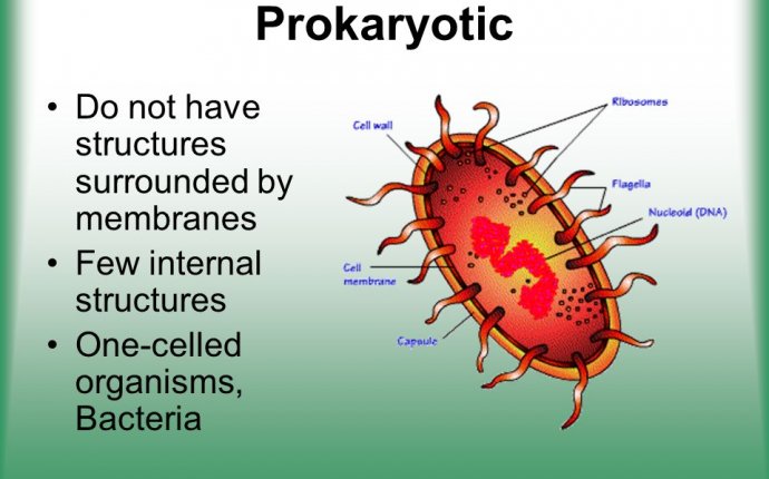 Cell Structure & Function - ppt download