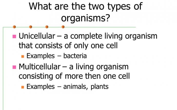 Cells Theory, Structure, Function. What is a Cell? The smallest