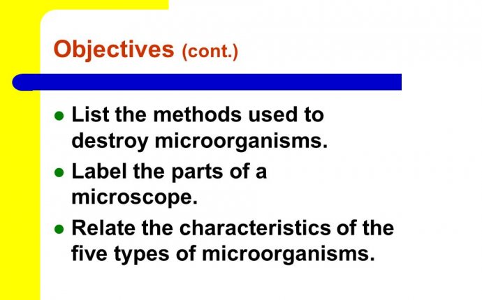 Chapter 3 Safety and Infection Control Practices - ppt download