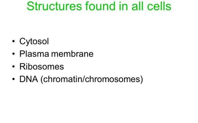 Chapter 7 A Tour of the Cell. - ppt download