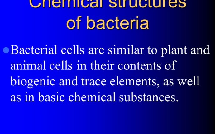 Chemical structures of bacteria Bacterial cells are similar to