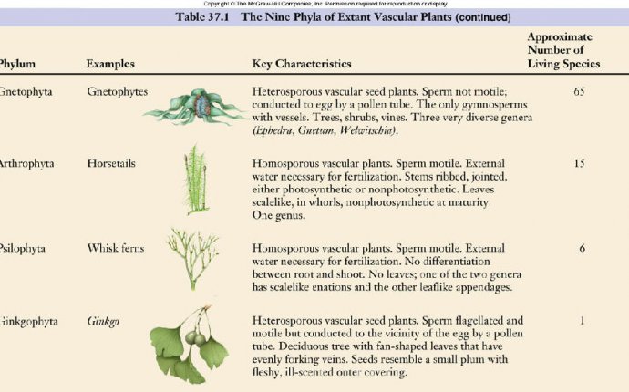 Classification of Organisms