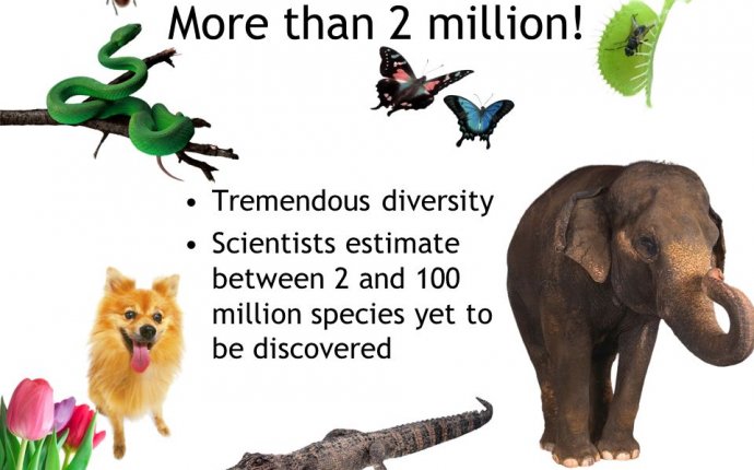 Classification of Organisms. How many different types of organisms
