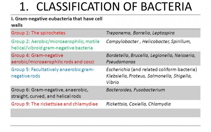 Bacteria Taxonomy Chart