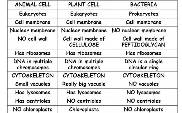 Concepts of Cells - The unit of life | Biology for NEET | Toppr