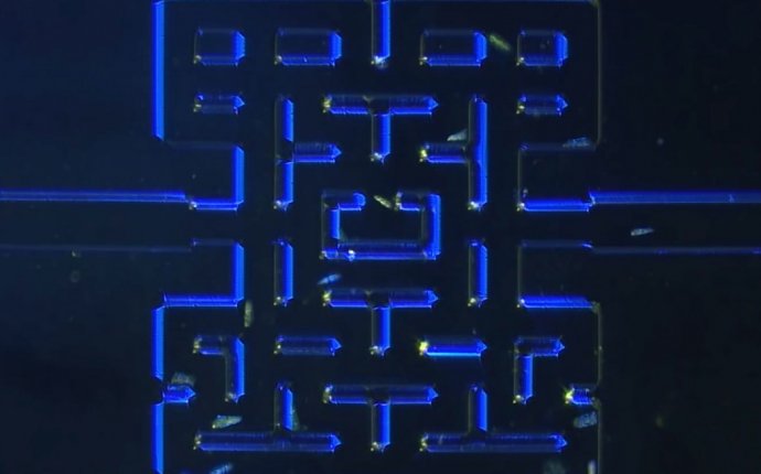 Discover Magazine: The latest in science and technology news