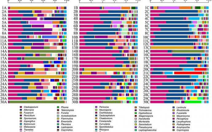 Frontiers | Diversity and Composition of Airborne Fungal Community