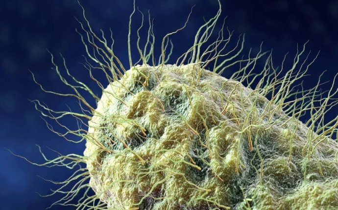 Gut Bacteria Know Secrets About Your Future : Krulwich Wonders