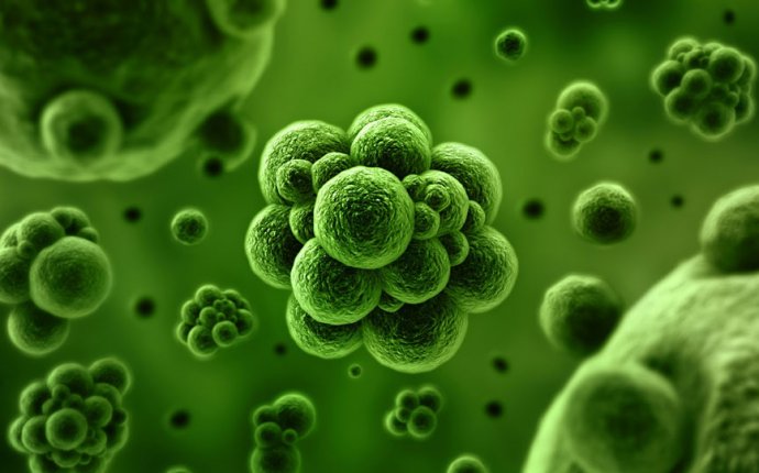 Hydroponic Gardening: Beneficial Active Microbes for your Garden