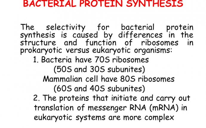 INHIBITOR of BACTERIAL PROTEIN SYNTHESIS. BACTERIAL PROTEIN