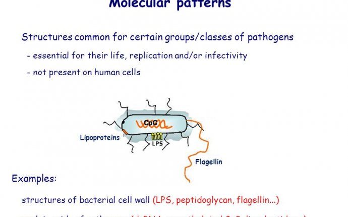 Innate immunity Properties of innate immunity Recognition of