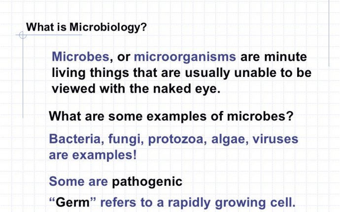 Introduction to Bacteriology - ppt download