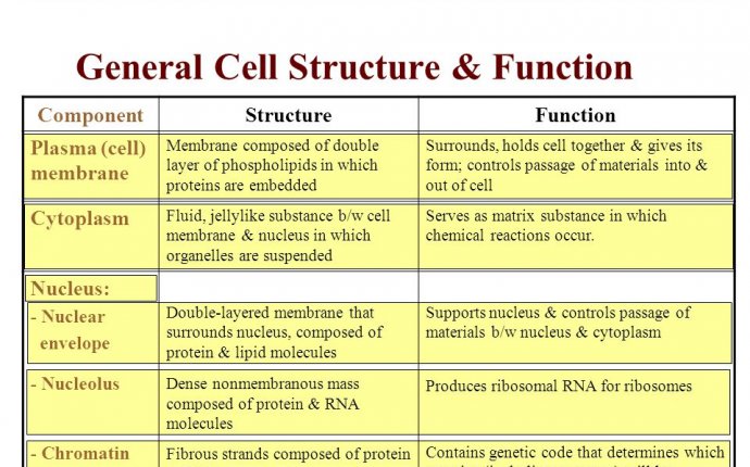 Introduction to Physiology - ppt download