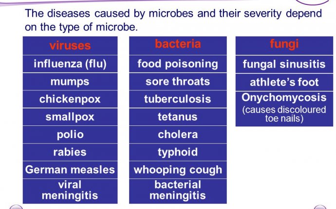 KS3 Biology 8C Microbes and Disease. - ppt download
