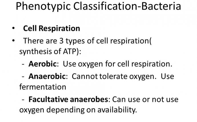 Lesson 4 View the video “Microbial Evolution” and respond to
