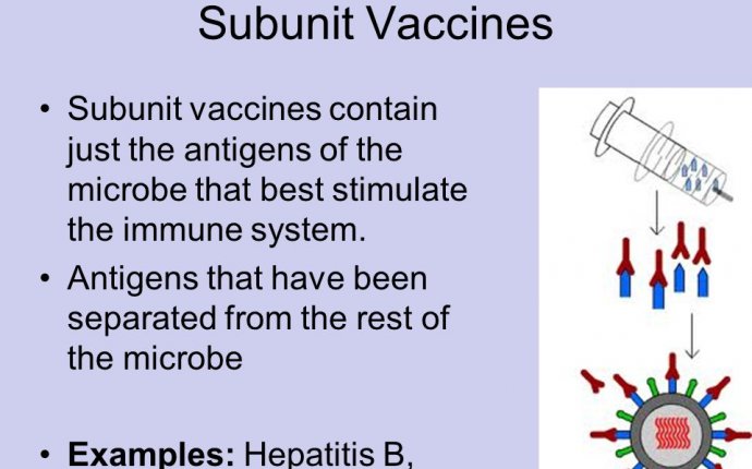 Making Vaccines. - ppt download