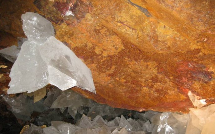 Mexico mine yields living microbes trapped for 60, years inside