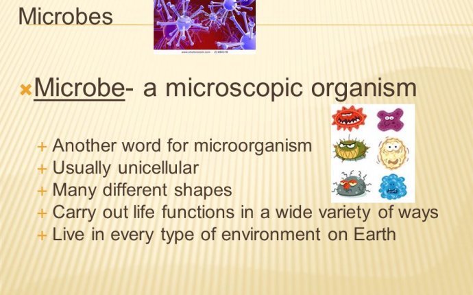 Microbes. Microbe- a microscopic organism Another word for