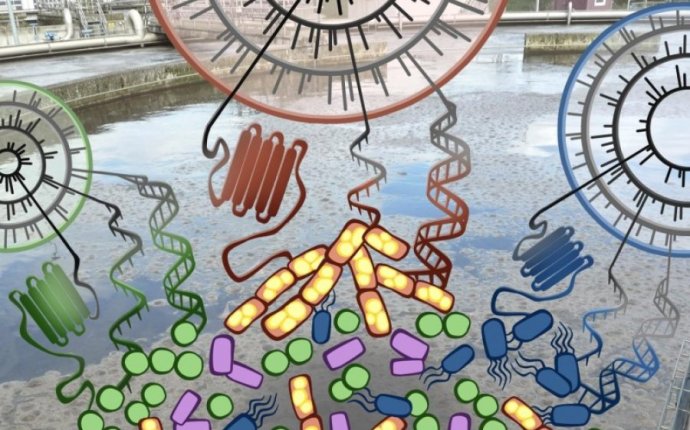 Microbial communities for health and environment: Precise