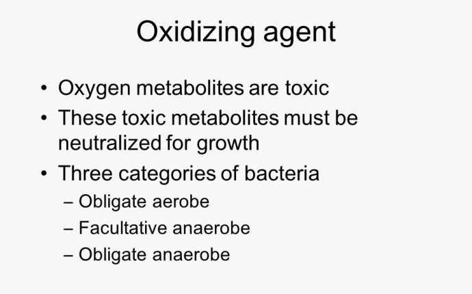 Microbial Growth and Nutrition Chapter 6. 2 Microbial growth