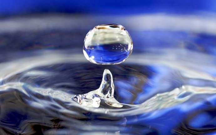 Microbial life | Popular Science