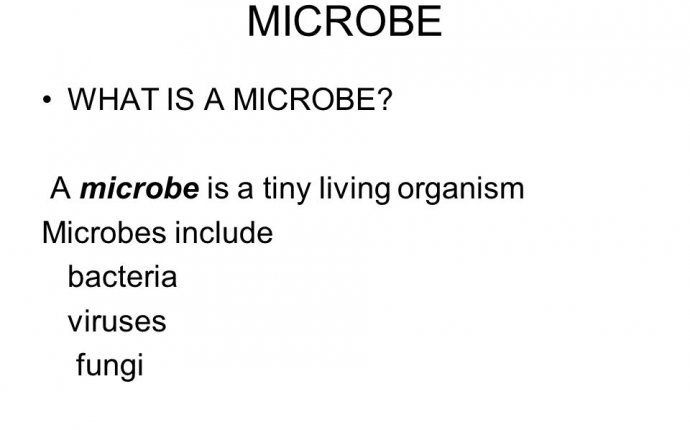 MICROBIOLOGY A branch of biology that studies microorganisms and