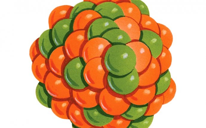 Microbiology | Britannica.com