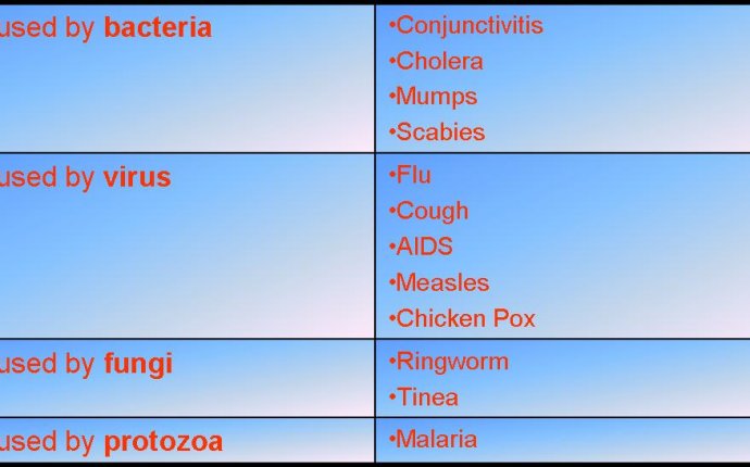 Microorganism | Anisah Afifah s Weblog