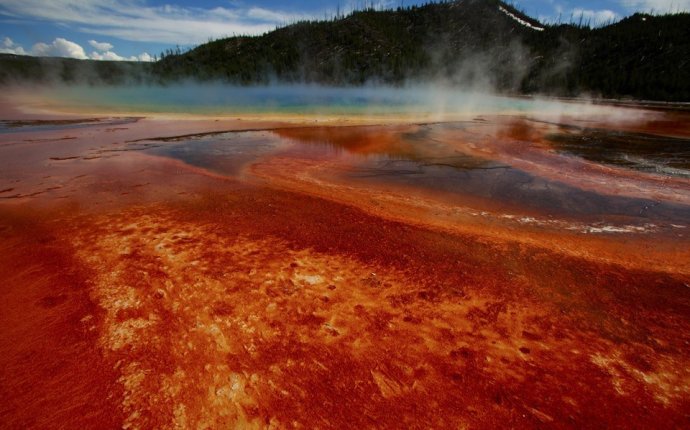 Newly Discovered Microbes, May Explain the Origin of Complex Life