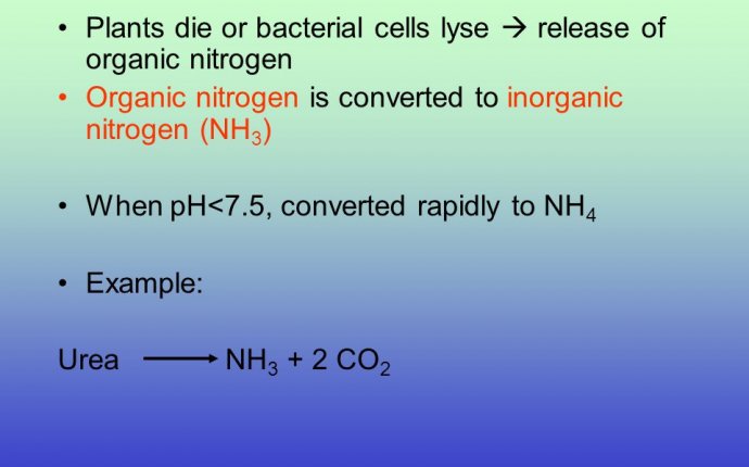Nitrogen Cycle Sources Lightning Inorganic fertilizers Nitrogen