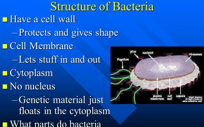 Oldest Life on Earth Mr. Kempfer 7th Grade Science - ppt download