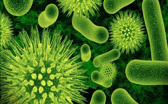 Online Get Cheap Microscope Bacteria -Aliexpress.com | Alibaba Group