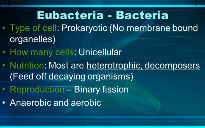 Organisms Structure, Function and Behavior. Kingdoms Organisms are