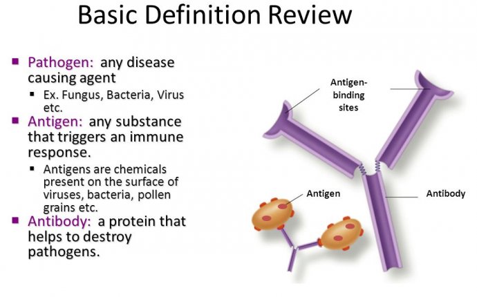 Review: Human systems. There are nearly a hundred trillion cells