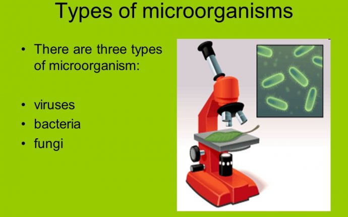 Science in English 1st year ESO - ppt download