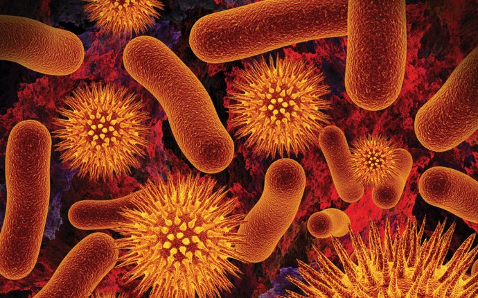 Soil Microorganisms - State-by-State Gardening