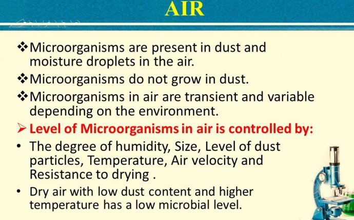 Sources Of Microorganisms In Foods - ppt download