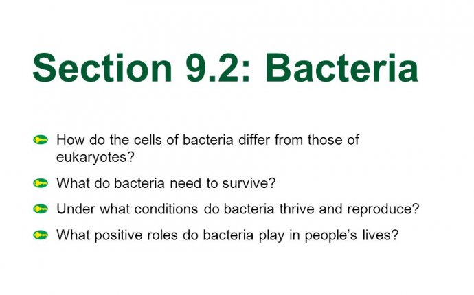 Table of Contents Chapter Preview 9.1 Viruses 9.2 Bacteria - ppt