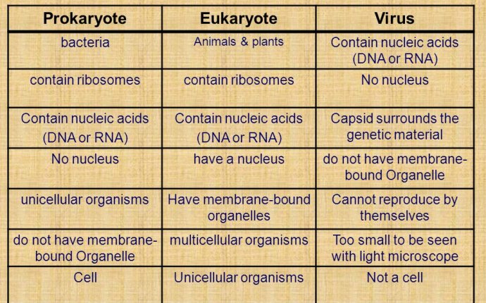 The beginning of Microbiology - ppt download