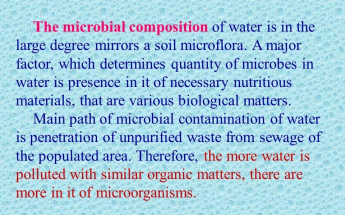 THE MICROBIOLOGY OF SPECIAL ENVIRONMENT. - ppt download