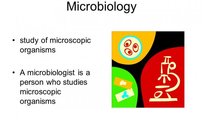 The Nature of Science. The goal of science is to understand the