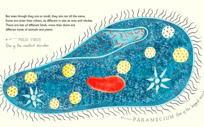 Tiny creatures: the world of microbes Archives - This Picture Book