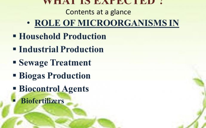 UNIT : 5 WEIGHTAGE: 03/05 MICROBES IN HUMAN WELFARE - ppt